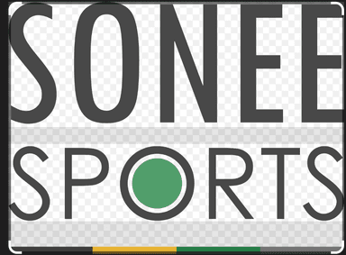 Sonee Group logo