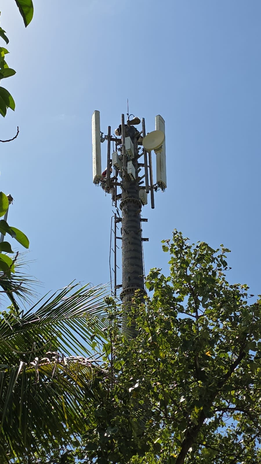Rishthaa crew working on a telecom tower structure at an island site