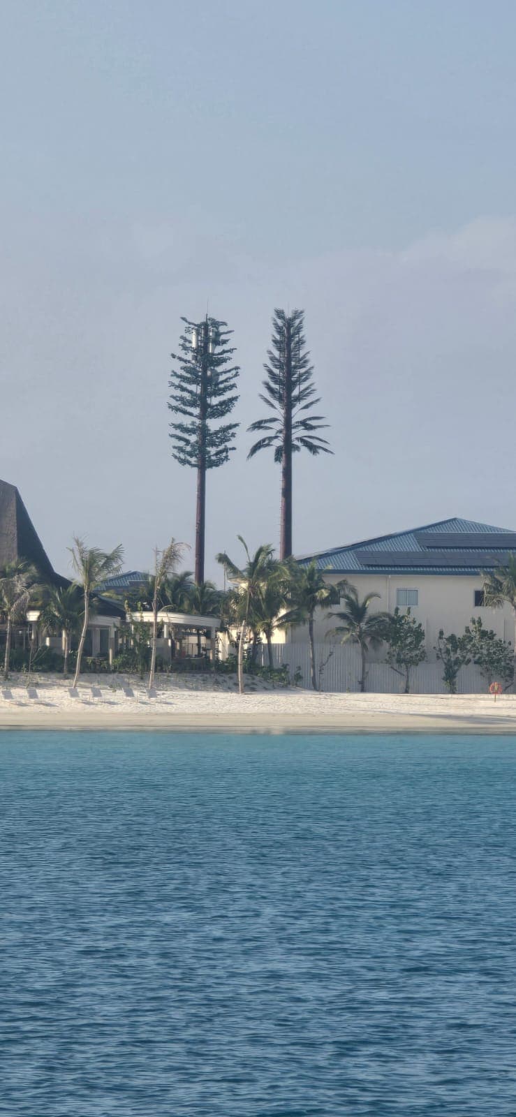 Two camouflaged telecom towers, one pine-form and one palm-form, behind a resort beach seen from the lagoon